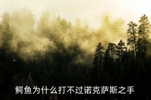 鳄鱼为什么打不过诺克萨斯之手