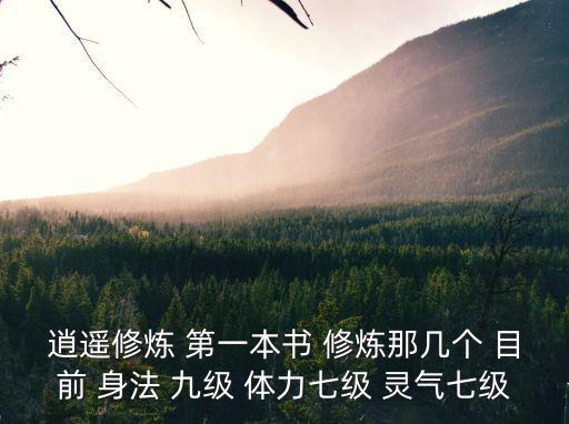 逍遥修炼 第一本书 修炼那几个 目前 身法 九级 体力七级 灵气七级