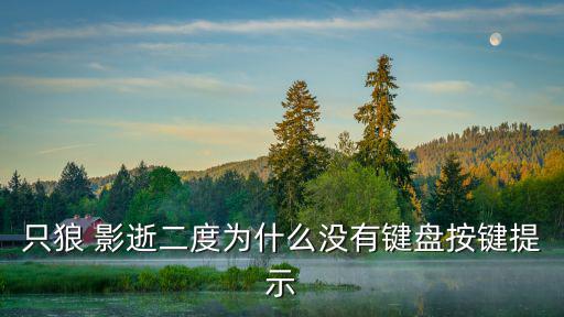 只狼 影逝二度为什么没有键盘按键提示