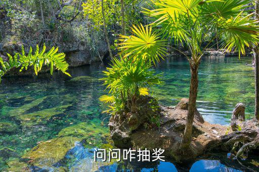 问问咋抽奖