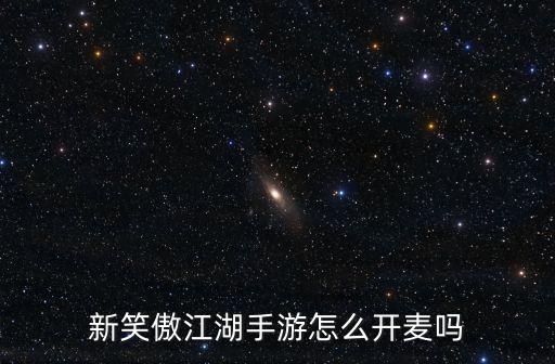 新笑傲江湖手游怎么开麦吗