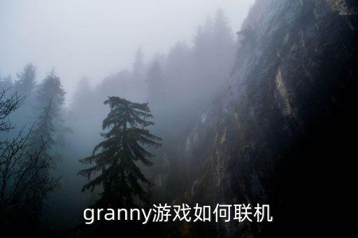 granny游戏如何联机