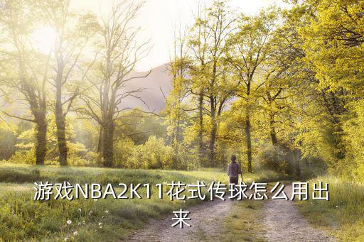 游戏NBA2K11花式传球怎么用出来