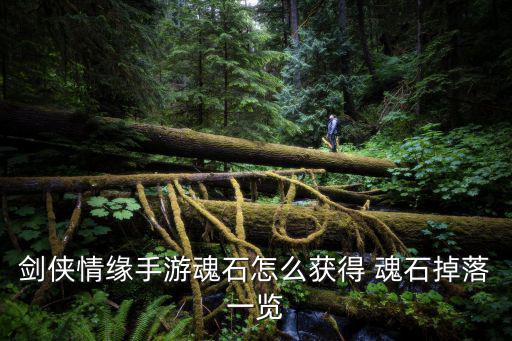 剑侠情缘手游达摩魂石怎么获得，剑侠魂石怎么弄到