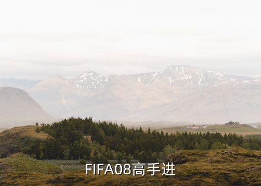 FIFA08高手进