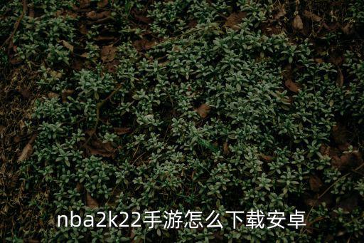 nba2k22手游怎么下载安卓