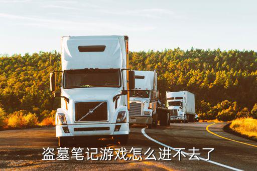 盗墓笔记游戏怎么进不去了