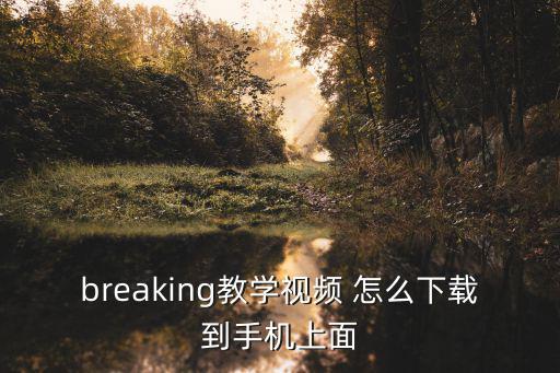 怎么下打工模拟器手游版教学视频，breaking教学视频 怎么下载到手机上面