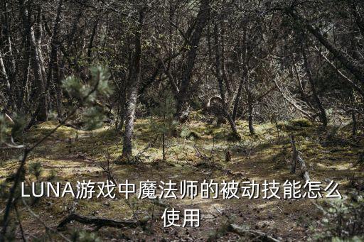 LUNA游戏中魔法师的被动技能怎么使用