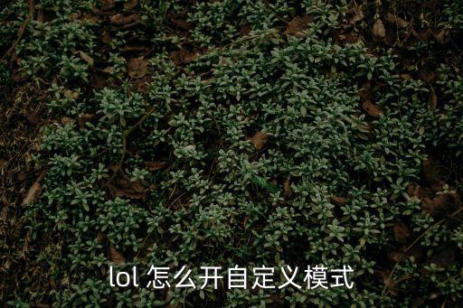 lol 怎么开自定义模式