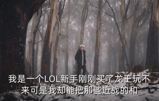 我是一个LOL新手刚刚买了龙王玩不来可是我却能把那些近战的和