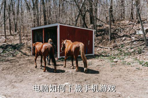 电脑如何下载手机游戏