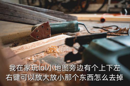 我在家玩lol小地图旁边有个上下左右键可以放大放小那个东西怎么去掉
