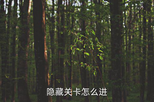 隐藏关卡怎么进