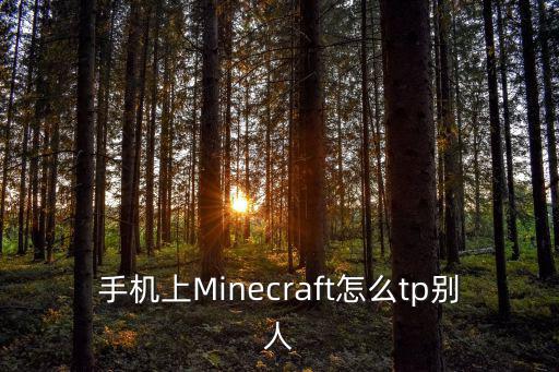 我的世界手游tp指令怎么开，我的世界手机版怎么tp