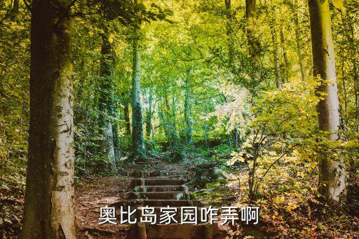 手游奥比岛宠物的家怎么解锁，奥比岛怎么解锁东西