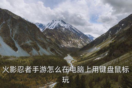 火影忍者手游怎么在电脑上用键盘鼠标玩