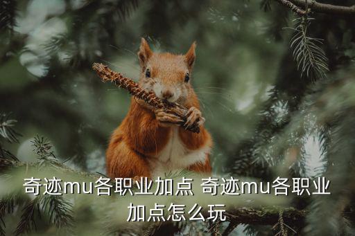 奇迹mu各职业加点 奇迹mu各职业加点怎么玩