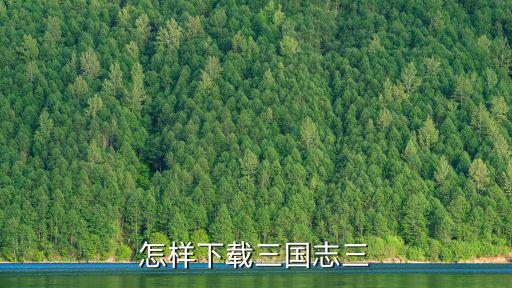 怎样下载三国志三