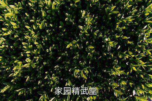 奥拉星手游平民吸收龙魂怎么打，4399奥拉星甚么新手精灵是能够打败龙刃的