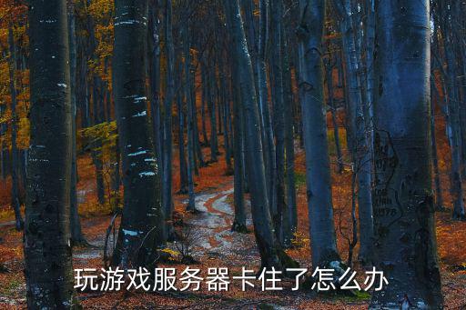 手游服务器卡怎么解决，玩游戏服务器卡住了怎么办