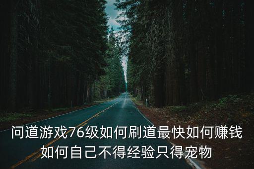问道游戏76级如何刷道最快如何赚钱如何自己不得经验只得宠物