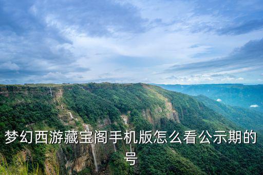 梦幻手游藏宝阁的号怎么看id，梦幻西游藏宝阁手机版怎么看公示期的号