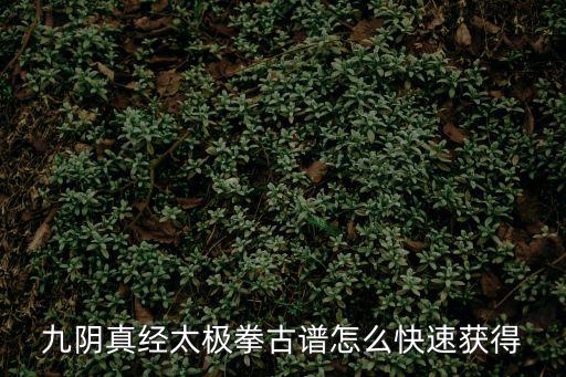 九阴真经太极拳古谱怎么快速获得