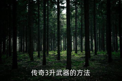 传奇3升武器的方法
