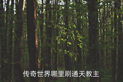 传奇世界哪里刷通天教主