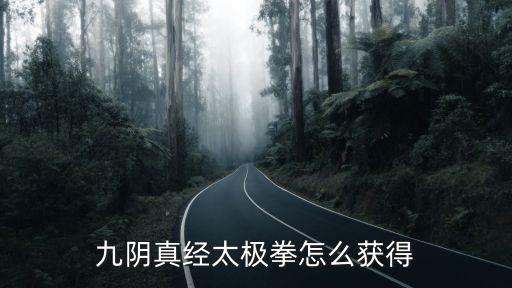 九阴真经太极拳怎么获得