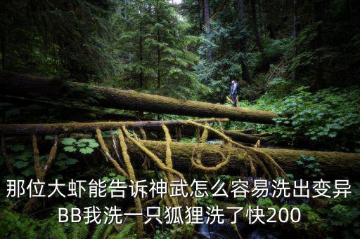 那位大虾能告诉神武怎么容易洗出变异BB我洗一只狐狸洗了快200