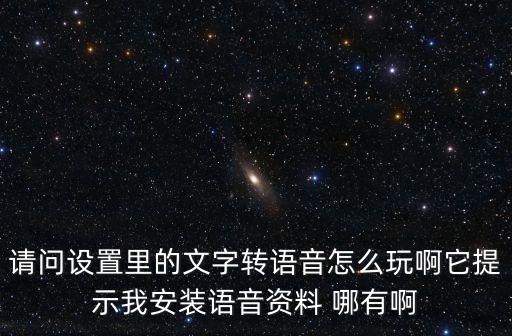 请问设置里的文字转语音怎么玩啊它提示我安装语音资料 哪有啊
