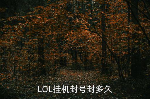 lol手游挂机怎么看封多久，LOL挂机封号封多久