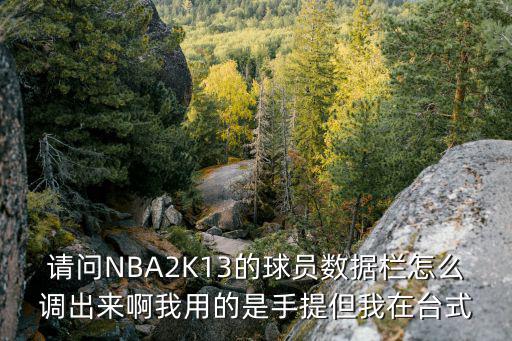 手游2k球员显示精准度怎么设置，哪种nba游戏可以调精准度