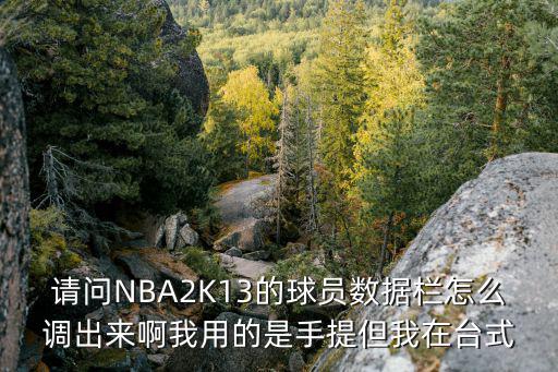 手游2k球员显示精准度怎么设置，哪种nba游戏可以调精准度