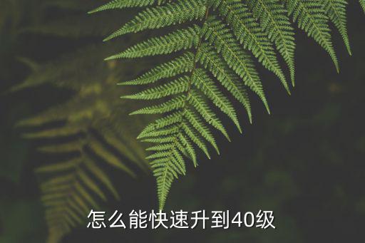 怎么能快速升到40级