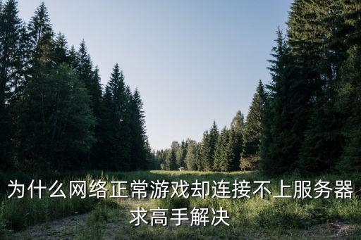 为什么网络正常游戏却连接不上服务器求高手解决