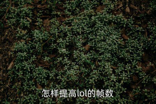 怎样提高lol的帧数