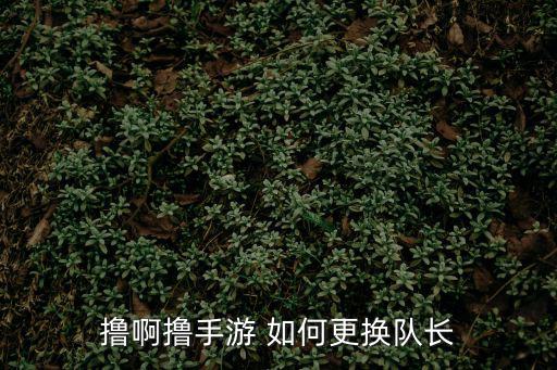 撸啊撸手游 如何更换队长