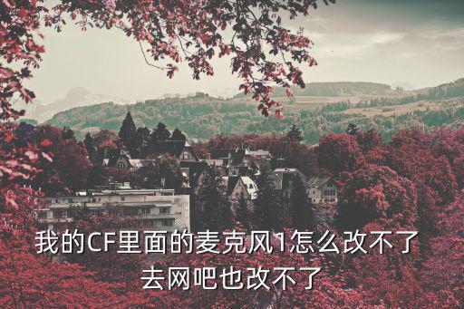 我的CF里面的麦克风1怎么改不了 去网吧也改不了