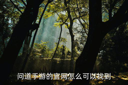 问道手游的官网怎么可以找到