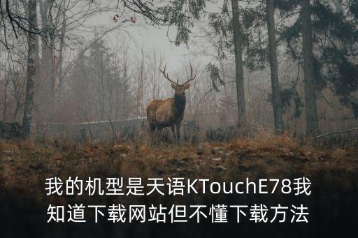 地下城手游pc端怎么下载，我的机型是天语KTouchE78我知道下载网站但不懂下载方法