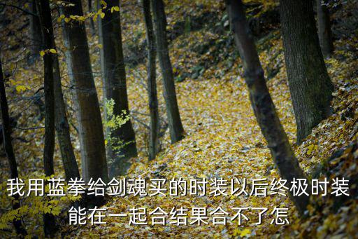我用蓝拳给剑魂买的时装以后终极时装能在一起合结果合不了怎