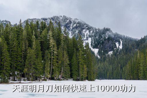 天涯明月刀如何快速上10000功力