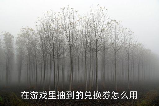 在游戏里抽到的兑换劵怎么用