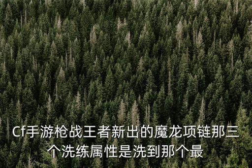 cf手游项链属性怎么装备，Cf手游枪战王者新出的魔龙项链那三个洗练属性是洗到那个最