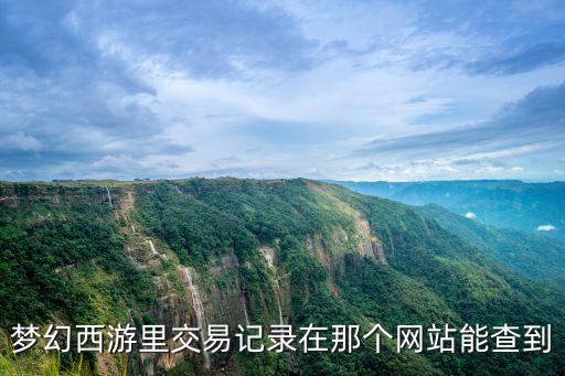 梦幻手游交易怎么查看，梦幻怎么查交易记录