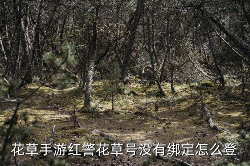 花草手游红警花草号没有绑定怎么登