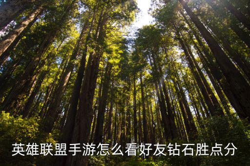英雄联盟手游怎么看好友钻石胜点分